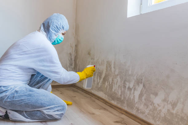 Licensed Mold Remediation service in Wildwood, FL - 24 Hour Mold Removal