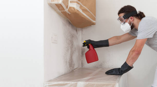 Professional Mold Remediation technician working in Wildwood, FL