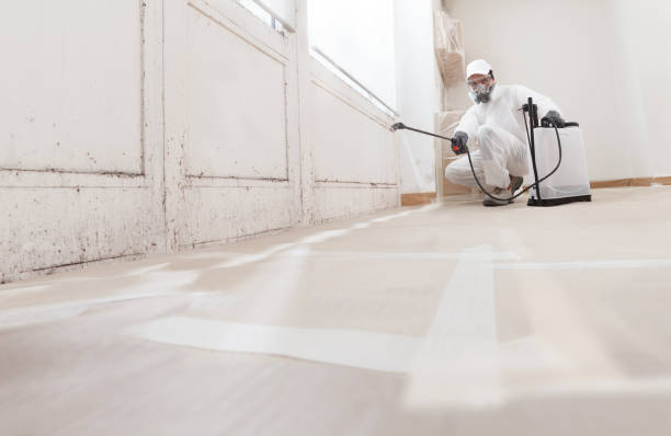 24/7 Emergency Mold Remediation experts in Wildwood, FL