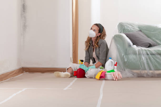 Reliable Mold Remediation contractor in Wildwood, FL by 24 Hour Mold Removal